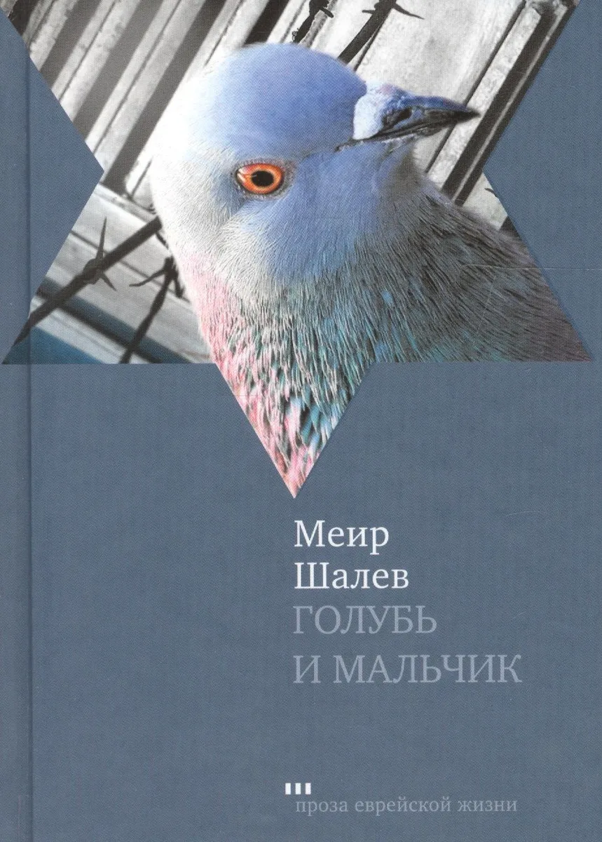Голубь и мальчик
