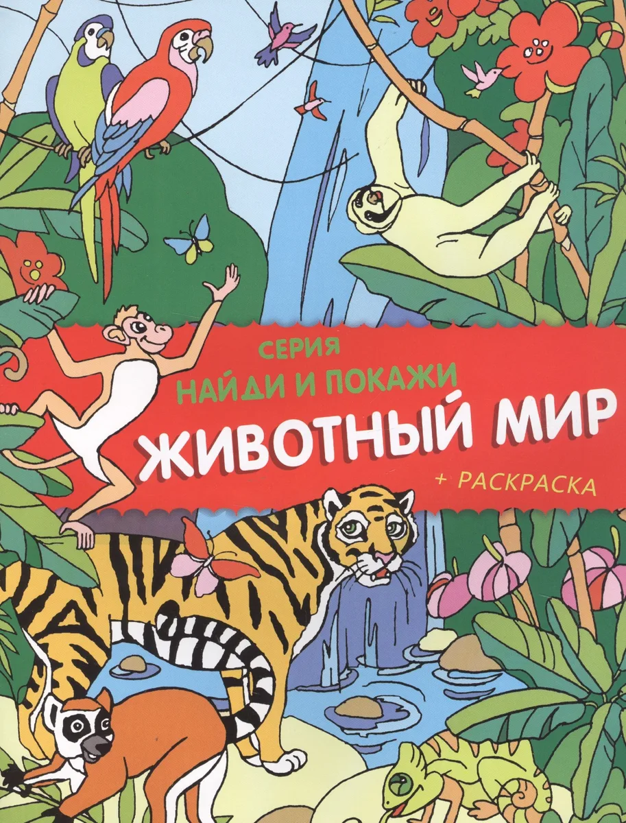 Животный мир. Найди и покажи (+ раскраска)