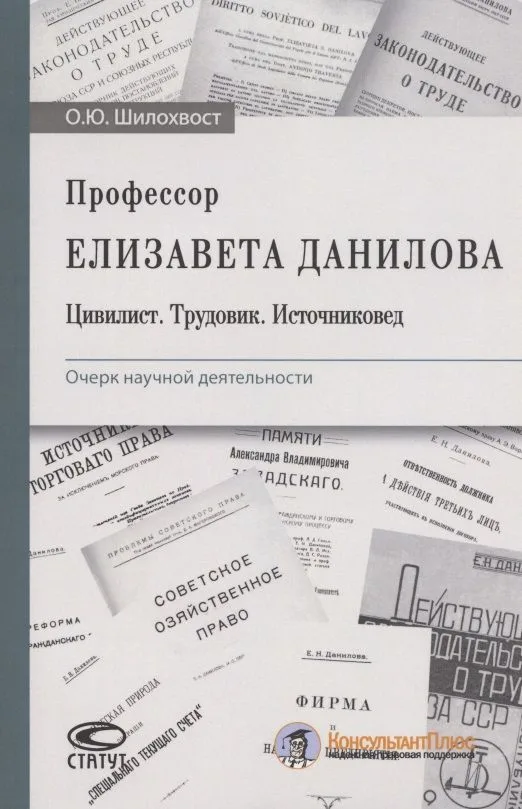 Профессор Елизавета Данилова. Цивилист. Трудовик. Источниковед. Очерк научной деятельности
