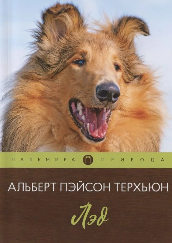 Лэд