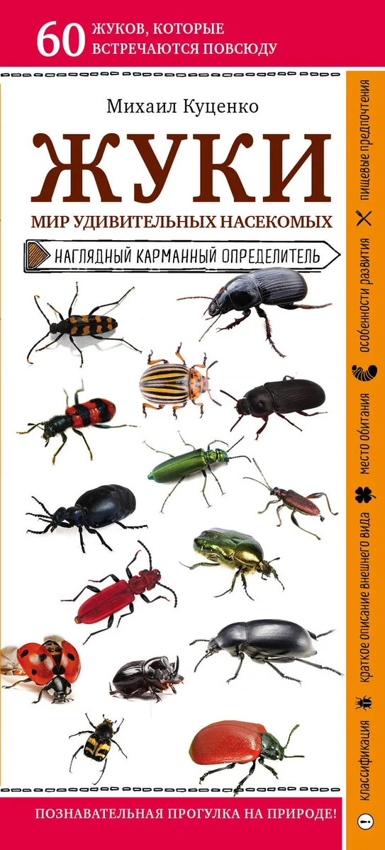Жуки. Мир удивительных насекомых. Наглядный карманный определитель