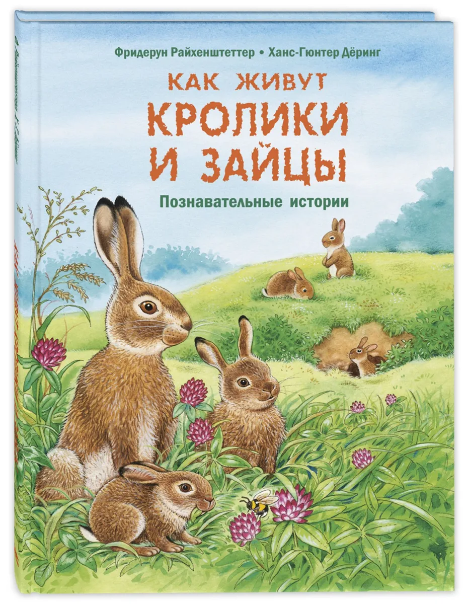 Как живут кролики и зайцы. Познавательные истории