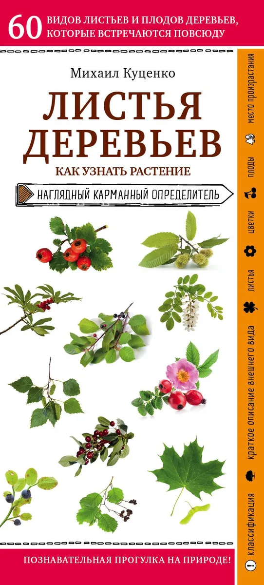 Листья деревьев. Как узнать растение. Наглядный карманный определитель