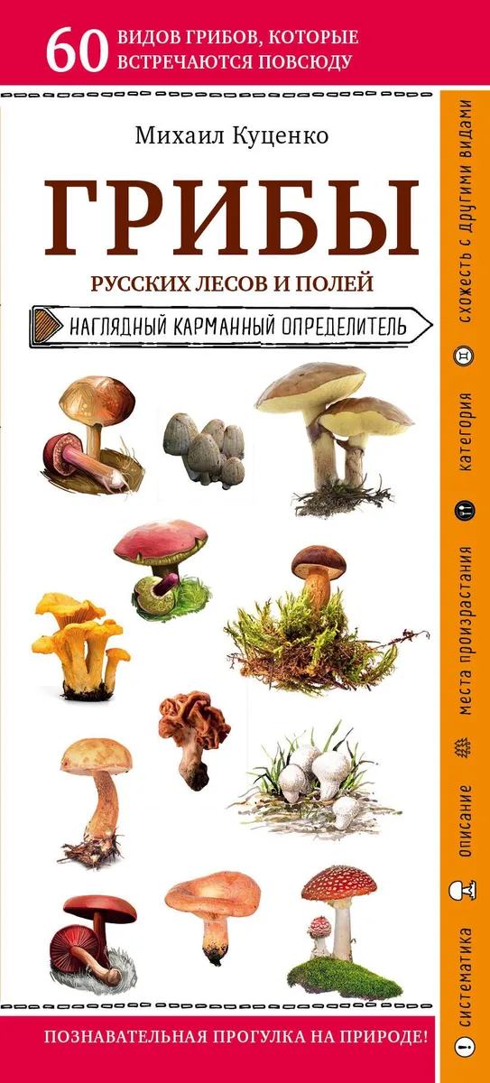 Грибы русских лесов и полей. Наглядный карманный определитель