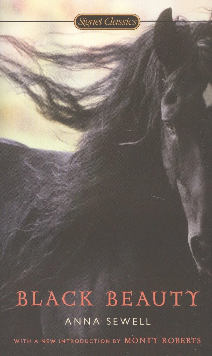BLACK BEAUTY