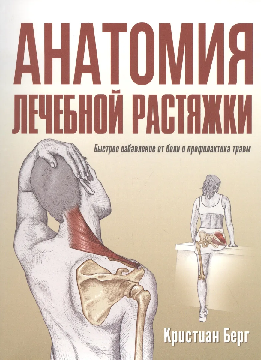 Анатомия лечебной растяжки: быстрое избавление от боли и профилактика травм