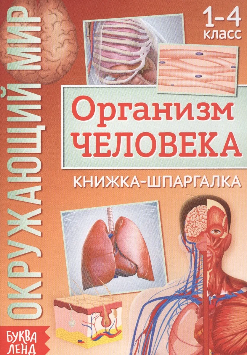 Окружающий мир. Организм человека. Книжка-шпаргалка для 1-4 класса