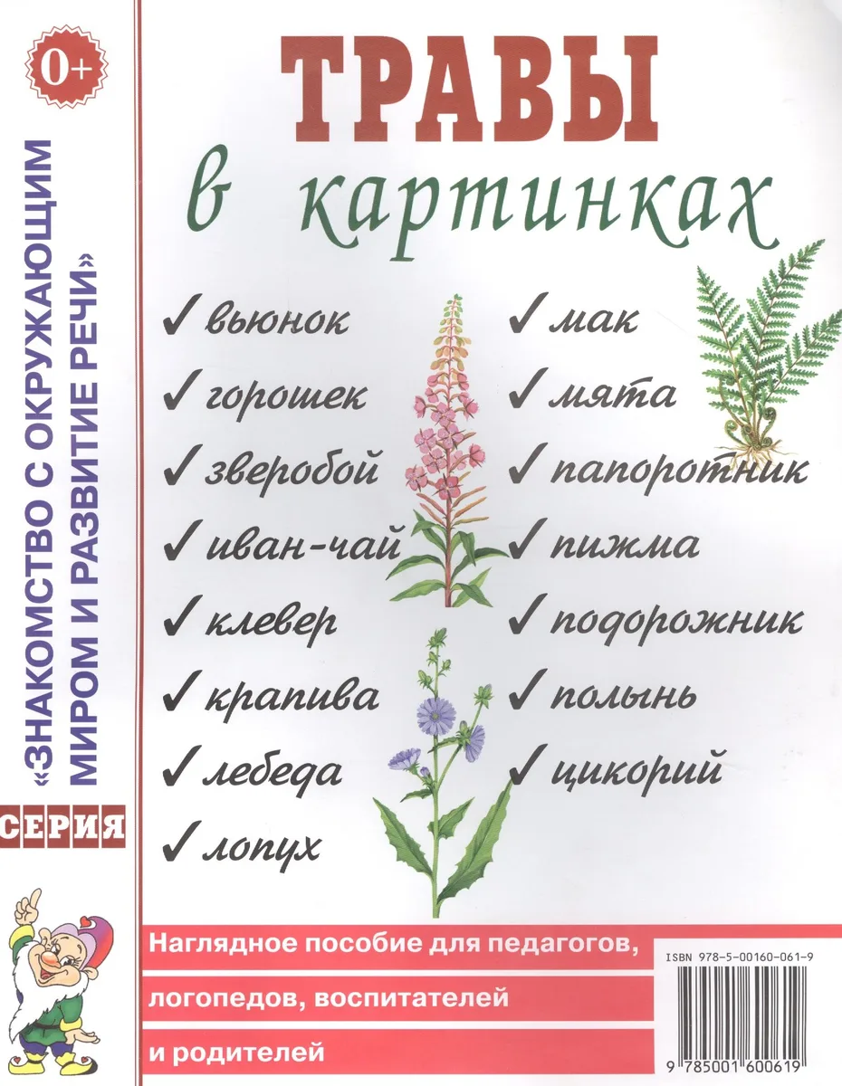 Травы в картинках. Наглядное пособие для логопедов, педагогов, воспитателей и родителей