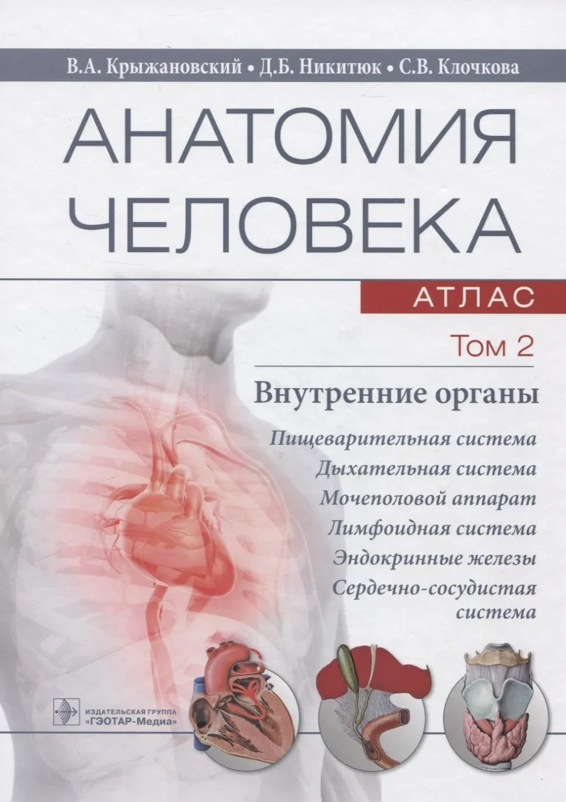 Анатомия человека. Атлас. Учебное пособие. Том 2. Внутренние органы