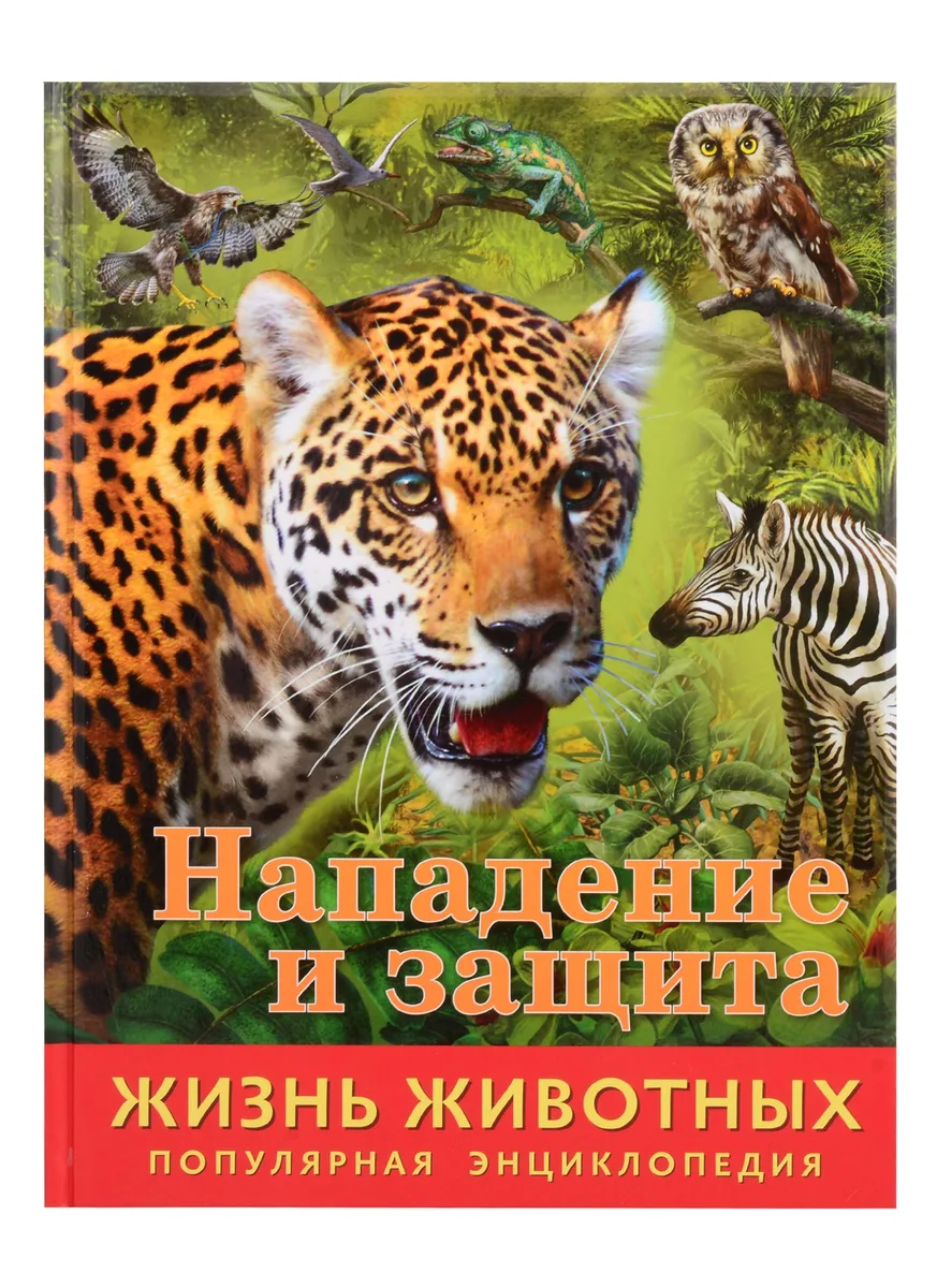 Нападение и защита