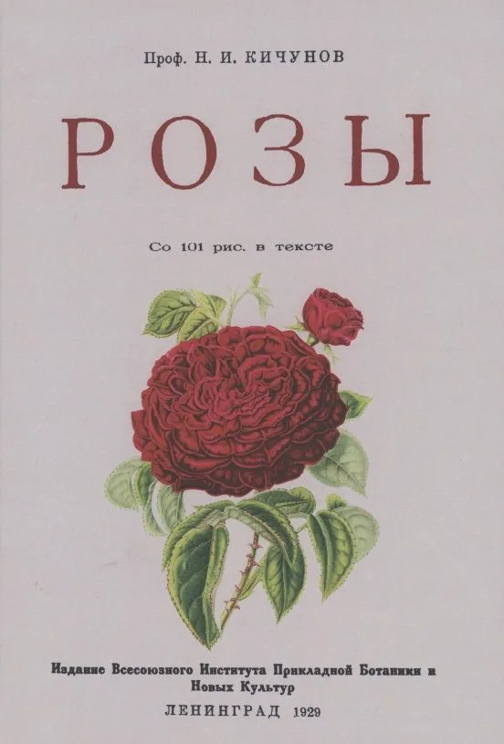 Розы.