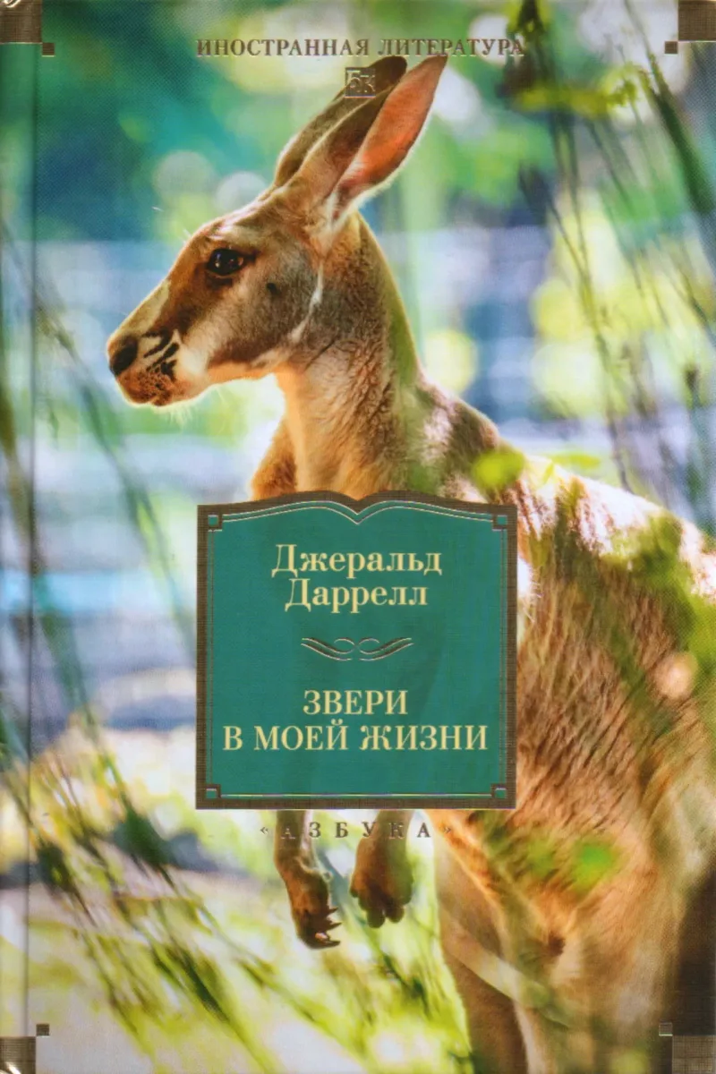 Звери в моей жизни