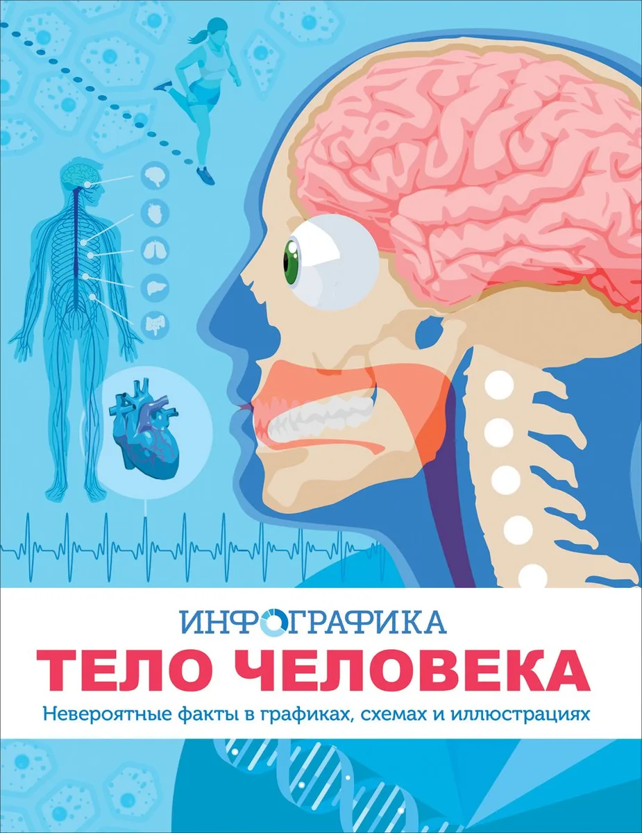 Тело человека. Инфографика