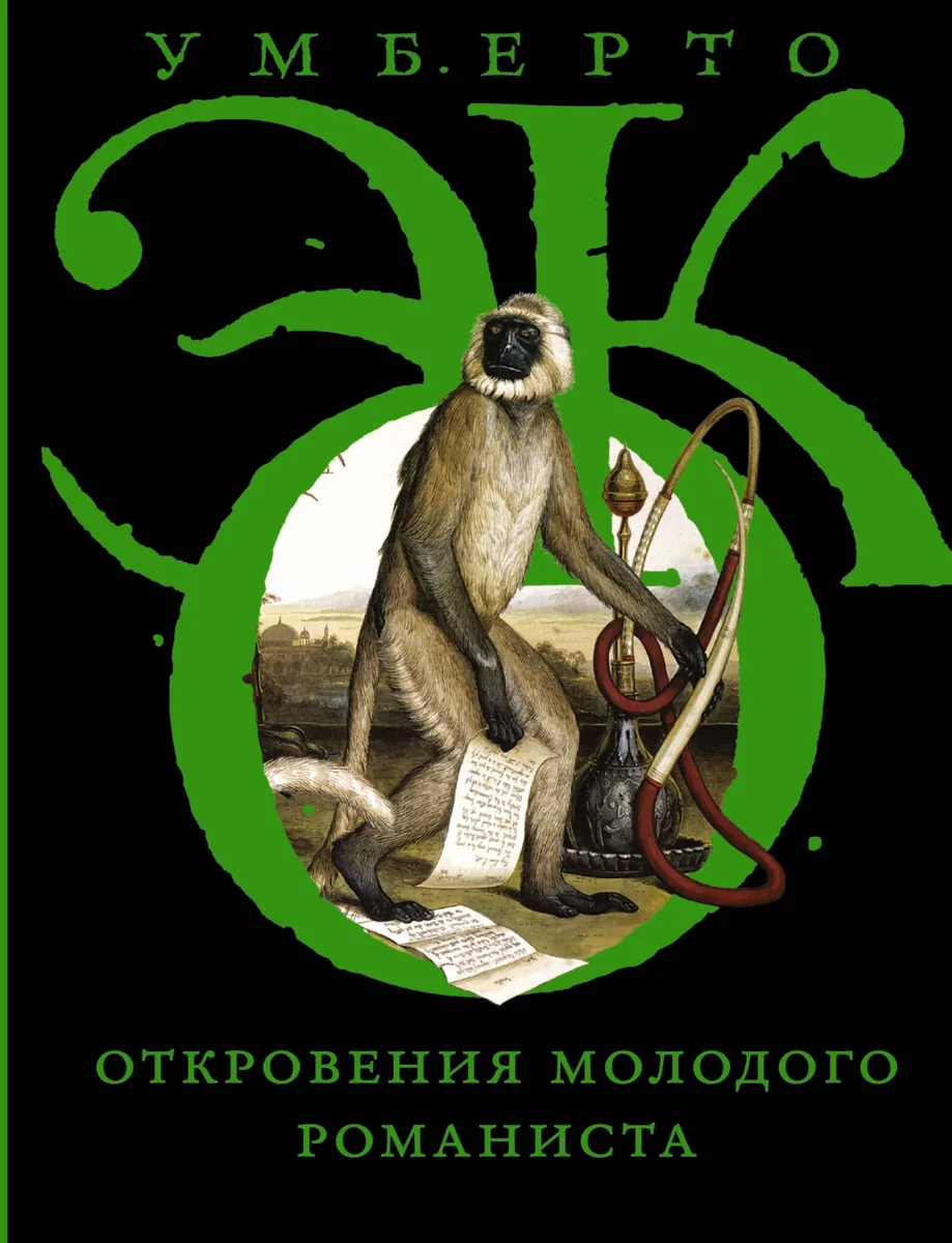 Откровения молодого романиста