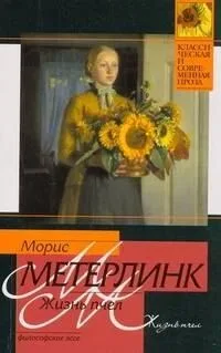 Жизнь пчел