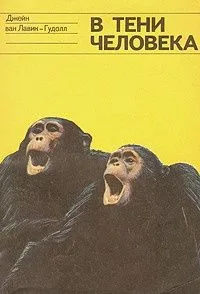 В тени человека
