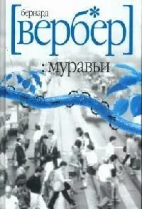 Муравьи
