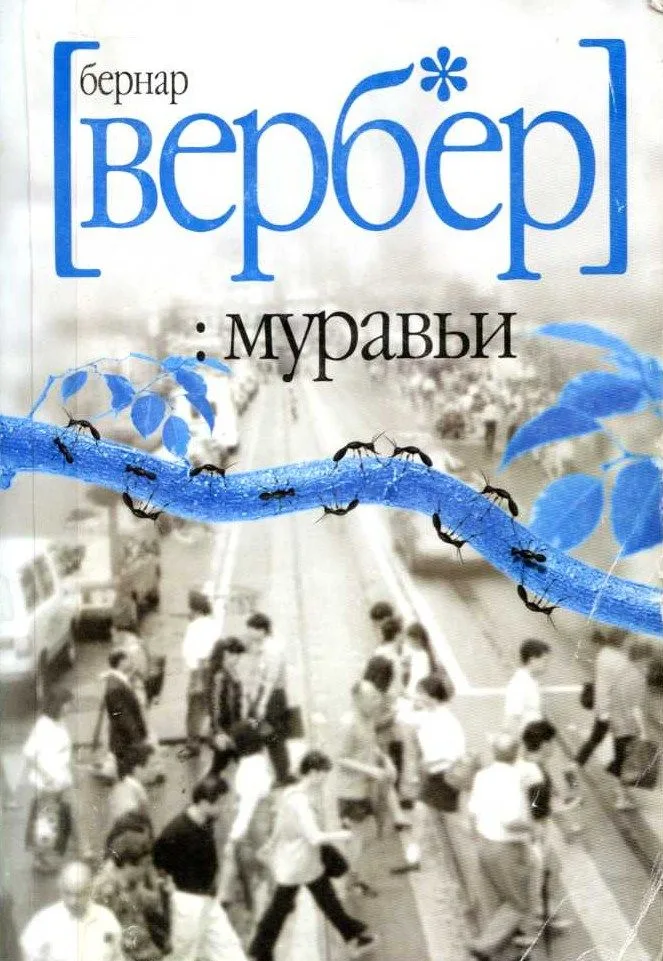 Муравьи