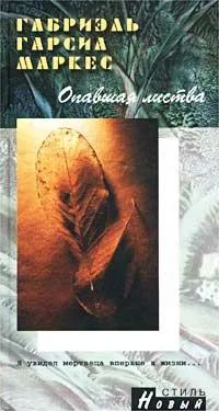 Опавшая листва