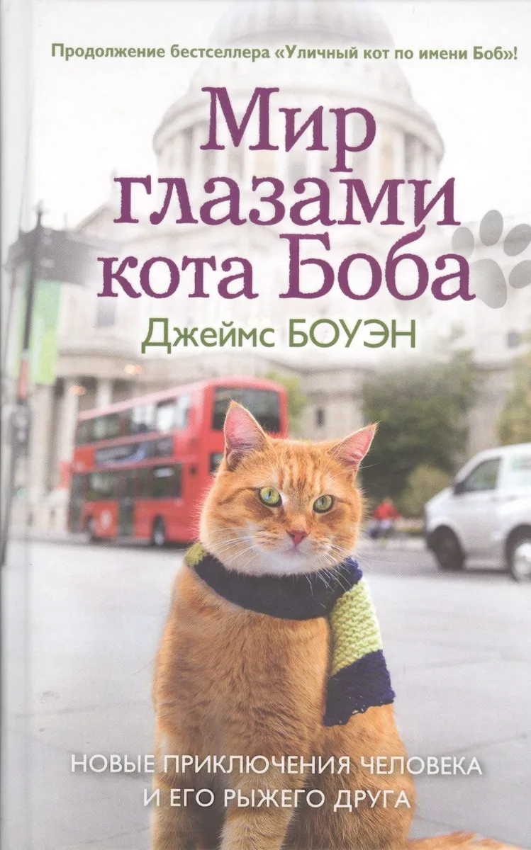 Мир глазами кота Боба