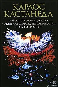 Искусство сновидения. Активная сторона бесконечности. Колесо времени. Том 5