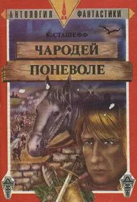 Чародей поневоле